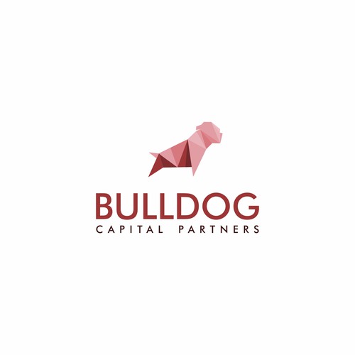 BULLDOG CAPITAL PARTNERS