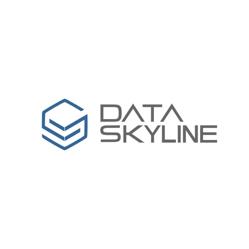 Create the next logo for Data Skyline