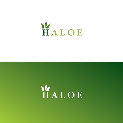 Logo for "Haloe"