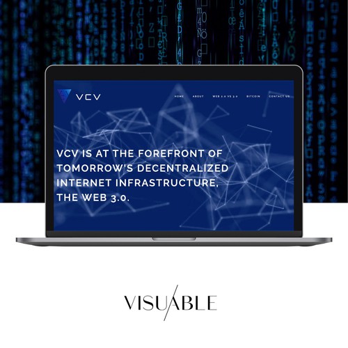 Venture Capatilist 