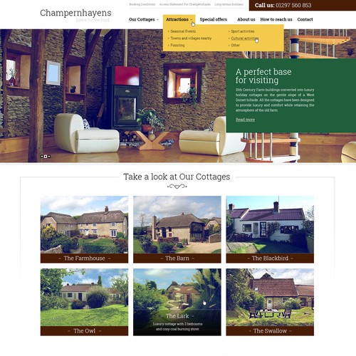 Website Concept for Champernhayens