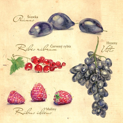 Create a modern and fun design for paper bags for fruit and vegetables!