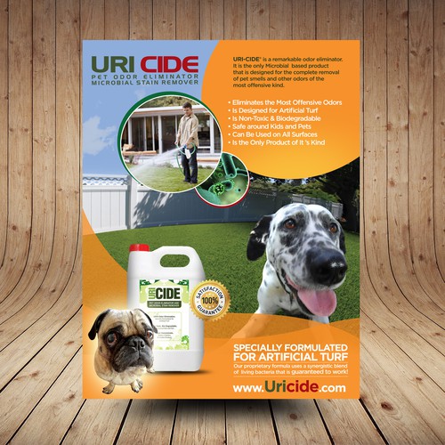Need a Cool Looking Flyer for Pet Product!!