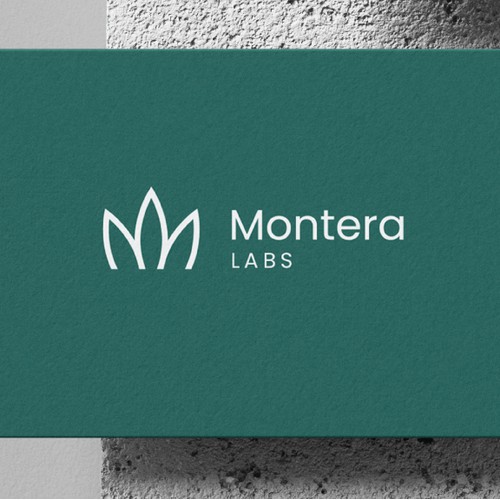 Montera