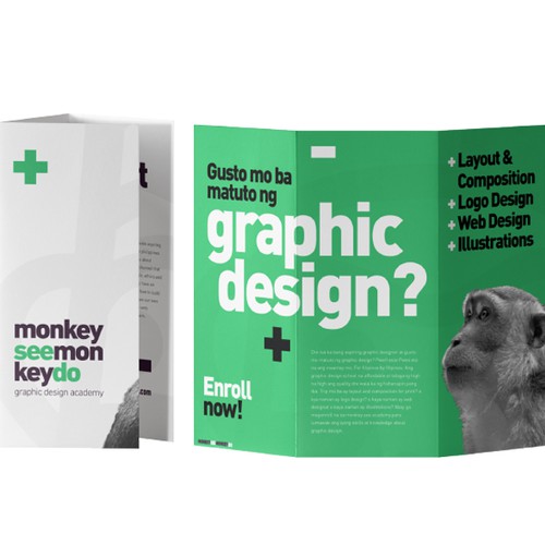 Brochure Design for Monkey See Monkey Do