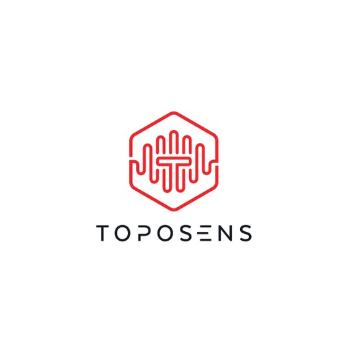 标志为Toposens