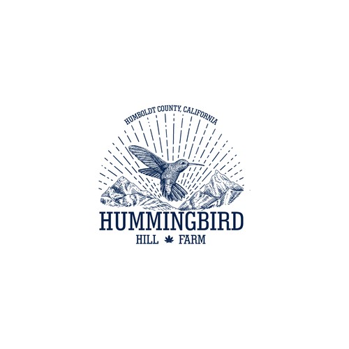 Humming Bird Logo Concept