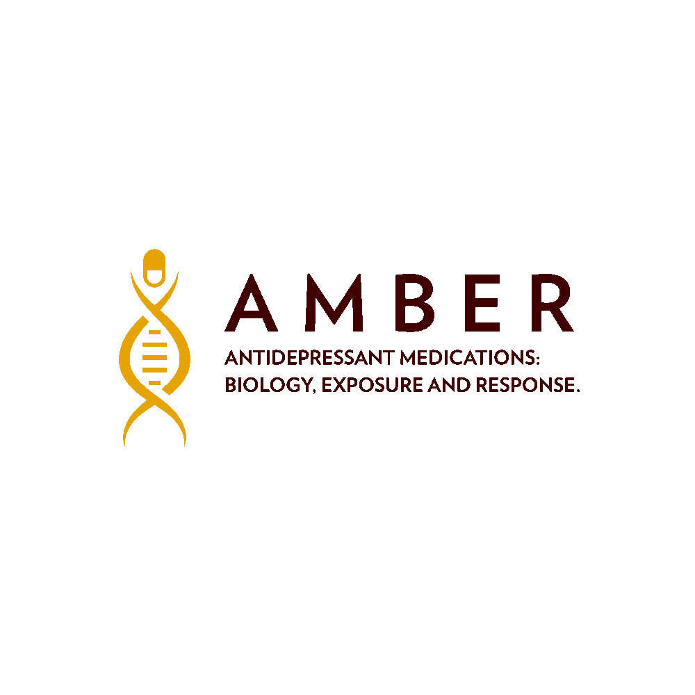 AMBER Logo