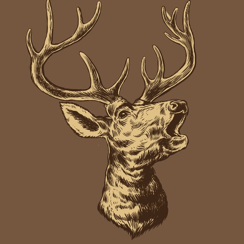 Deer drawing