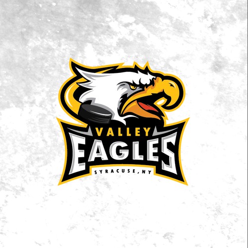 BOLD NEW SPORTS LOGO/EAGLE MASCOT needed for youth ice hockey association