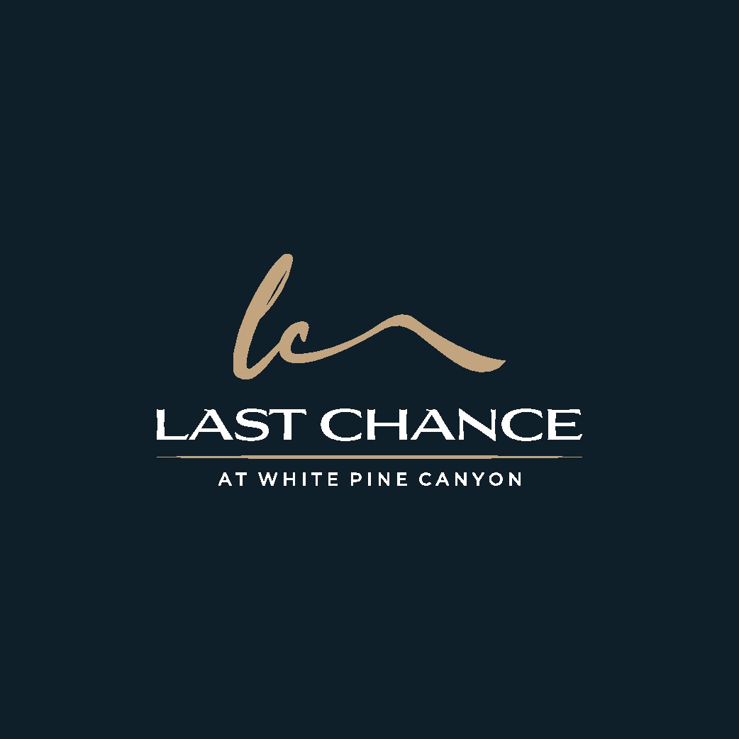 Luxury Mountain Neighborhood Logo