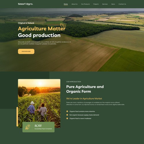 An Organic Food Website