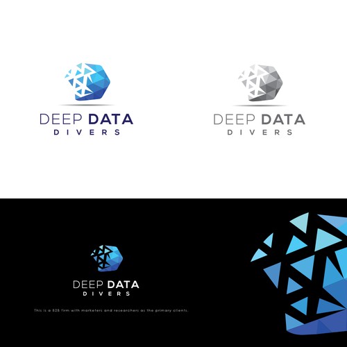 Deep Data Divers