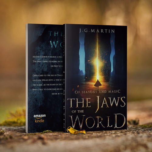 Cover Design For A Fantasy Novel