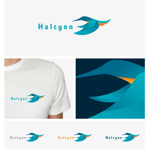 Create a eye popping logo design for Halcyon supplements