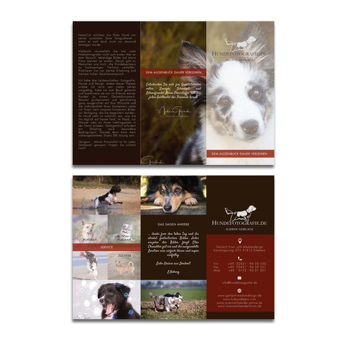 animal photography brochure