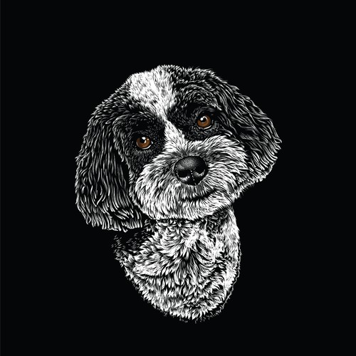 Portrait of a dog.