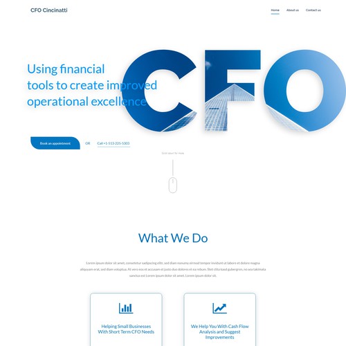 Clean Home Page for a CFO Service Business