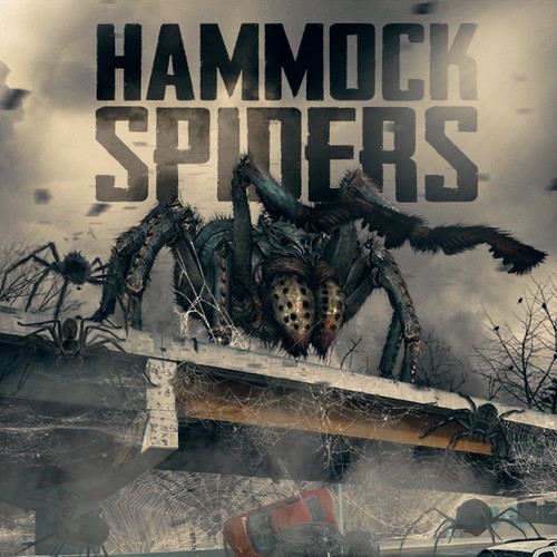 Hammock Spiders