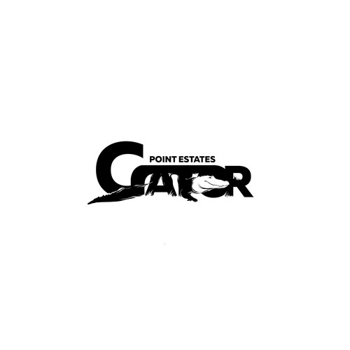 Bold logo concept for real estate