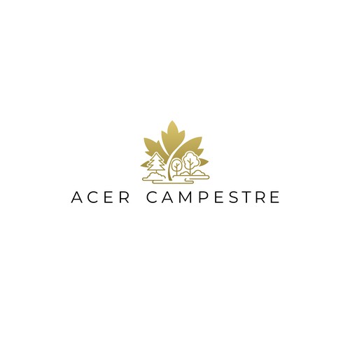Acer Campestre logo design