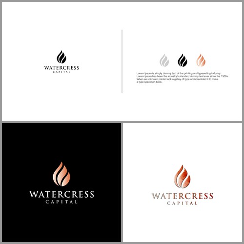 logo concept accounting and finance