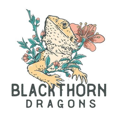 blackthorn dragons