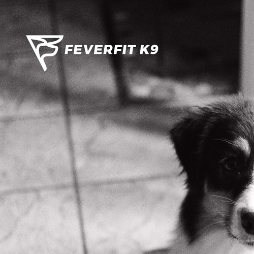 Feverfit K9