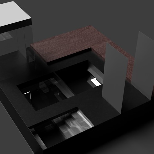 3D contest entry