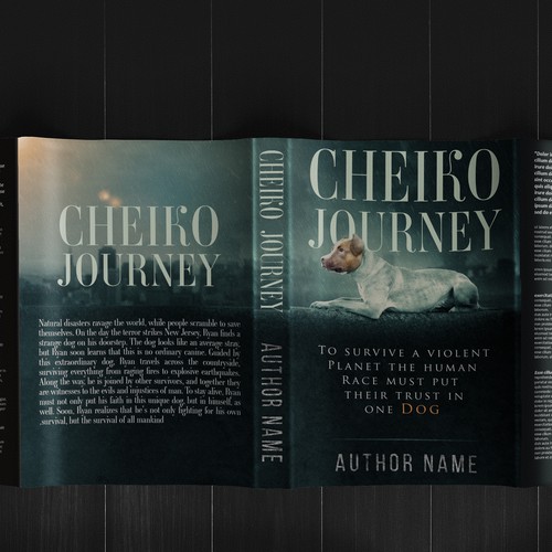 Cheiko Journey