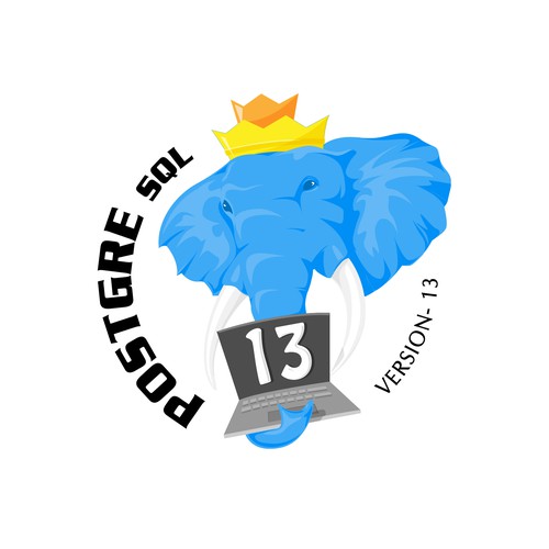 Version Icon 13