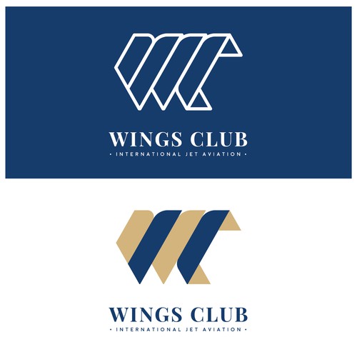 Logo Concept for an Executive Travel Company
