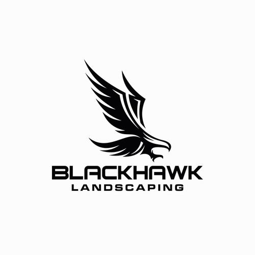 Hawk logo design