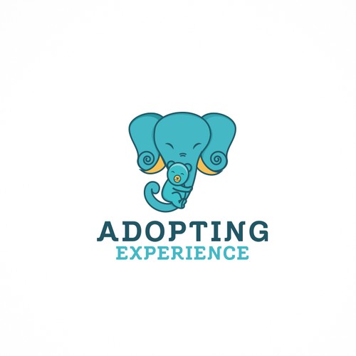 Adopting Experience