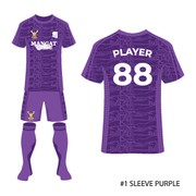 Reviewed design