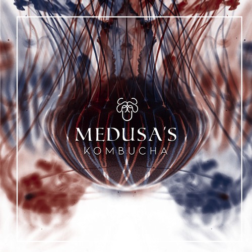 Medusas Kombucha