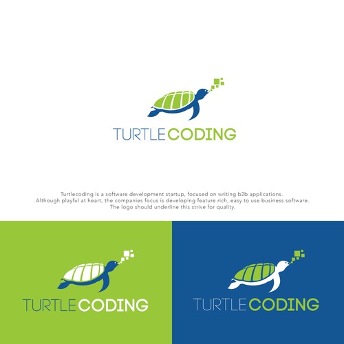 Turtle coding