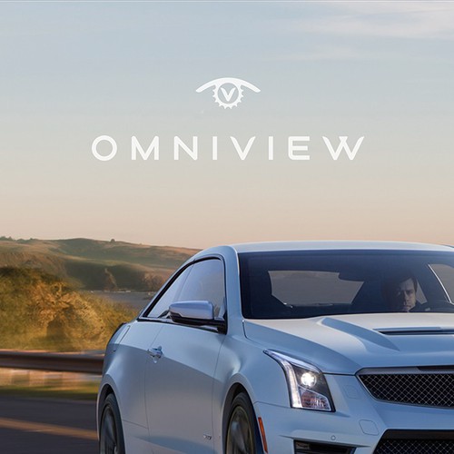 OmniView Logo