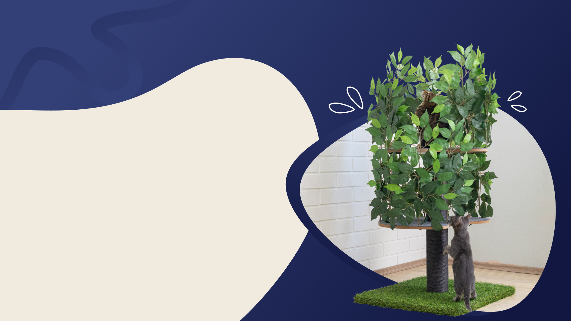 Website Banners and Images