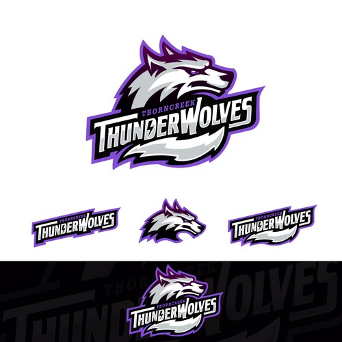 Sports Logo for ThornCreek Christian School