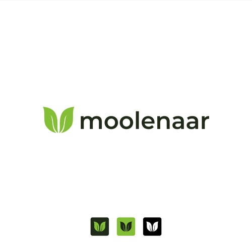 Moolenaar