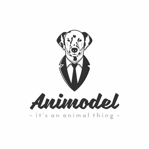 Fun and playful logo concept for Animodel