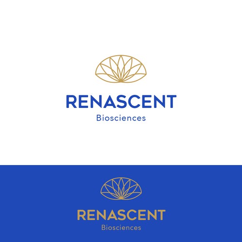 Logo design - Renascent