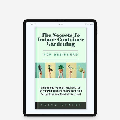 Solid Ebook cover