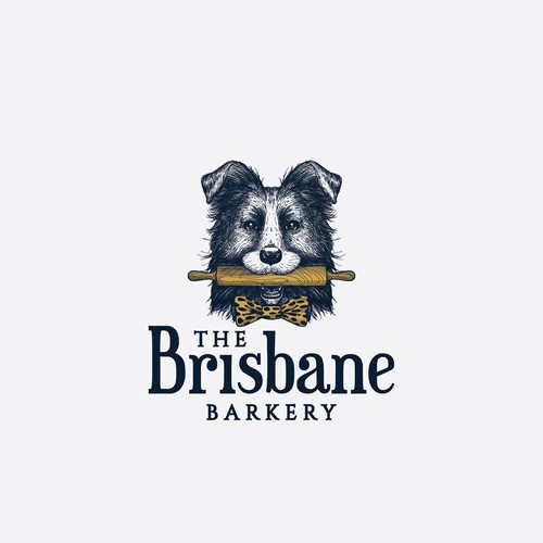 Friendly Border collie holding a rolling pin for The Brisbane Barkery