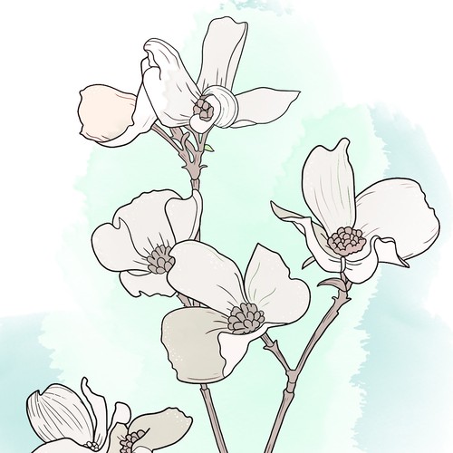 Illustration flower