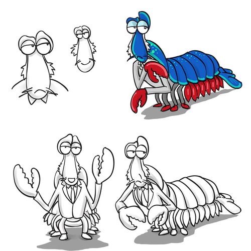 mantis shrimp