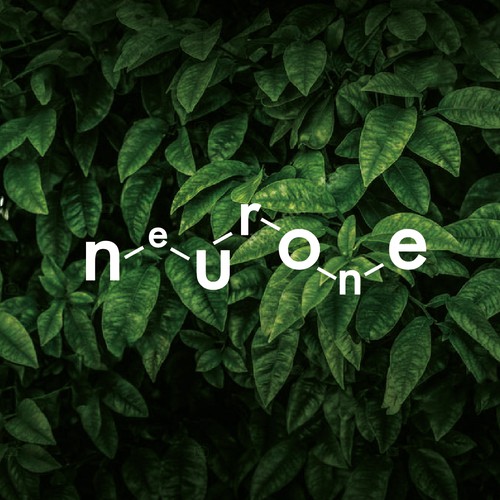 neurone natural supplements