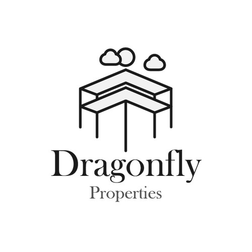 Dragonfly properties