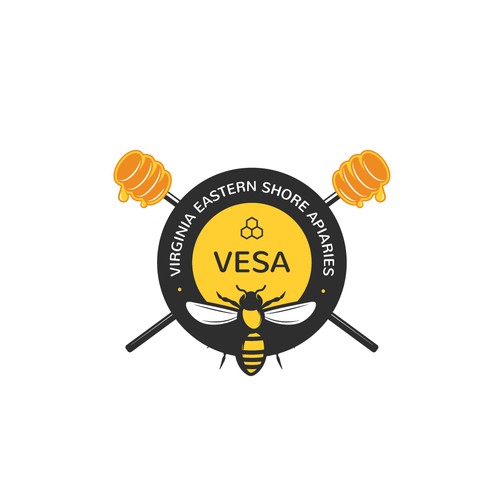 VESA Logo Design